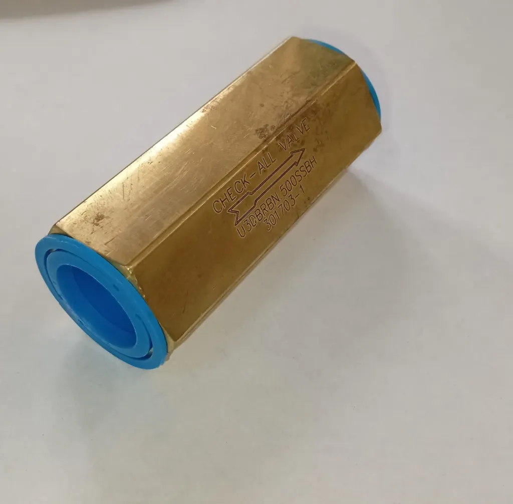 [C02-1204] Válvula de Check de 1/2"